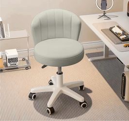 Desk Chair with Back support