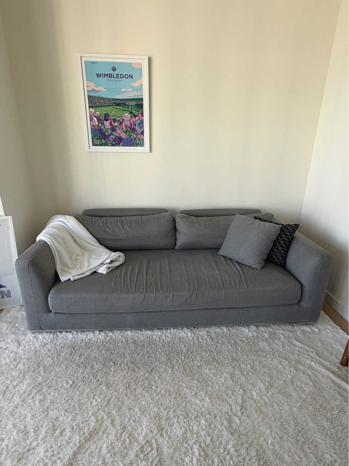 Milo sleeper sofa - Rove Concepts