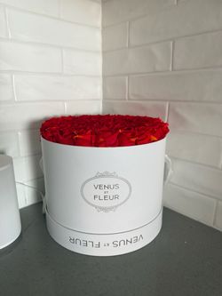 Venus et fleur