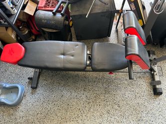 Bench and Treadmill