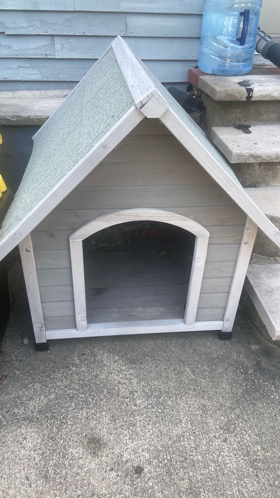 dog house 
