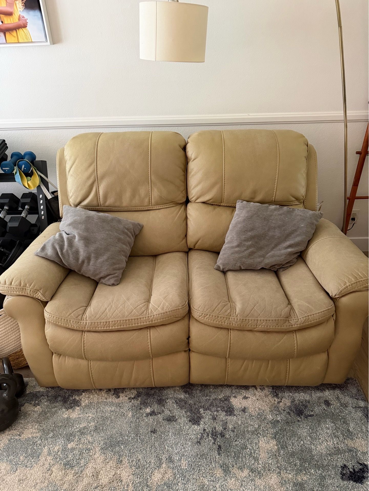 Leather electric recliners