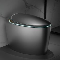 Luxury Smart Toilet With Bidet Seat, Elongated Egg Shaped Modern Design, Auto Open Auto Flush, Adjusted Heated Seat, Warm Water and Dryer, Night Light