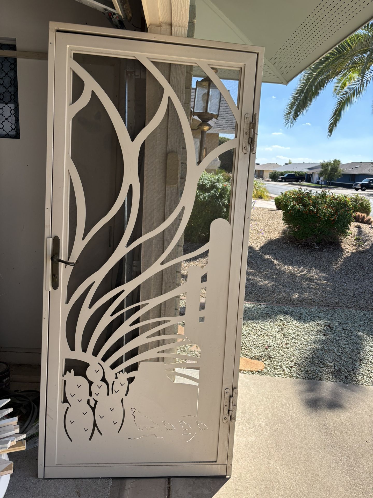 Front Security Door