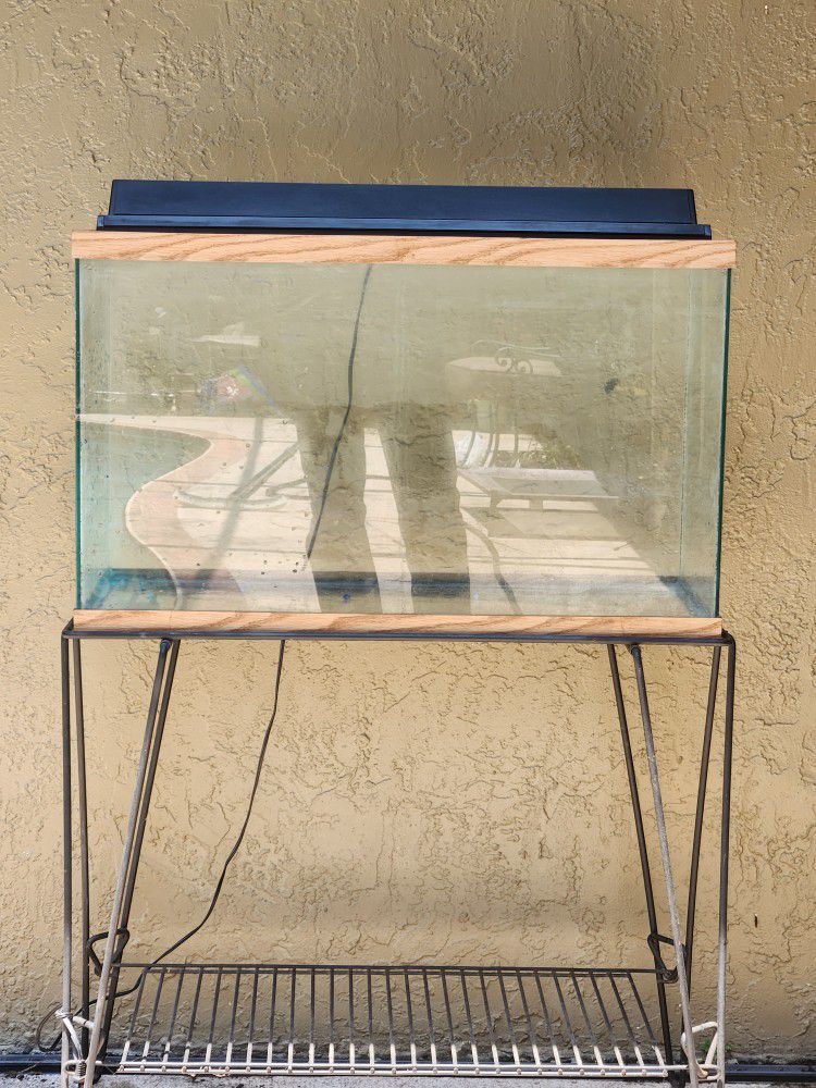Fish Tank + Stand