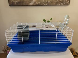 Bunny Guinea Pig Gerbil Crate Cage Jaula Conejos
