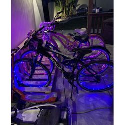 Bike lights