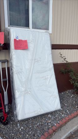 Bunk beds with mattresses