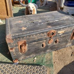 Old trunk