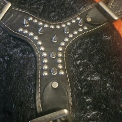 Dog Harness.spiked.genuine Black Leather Like New..