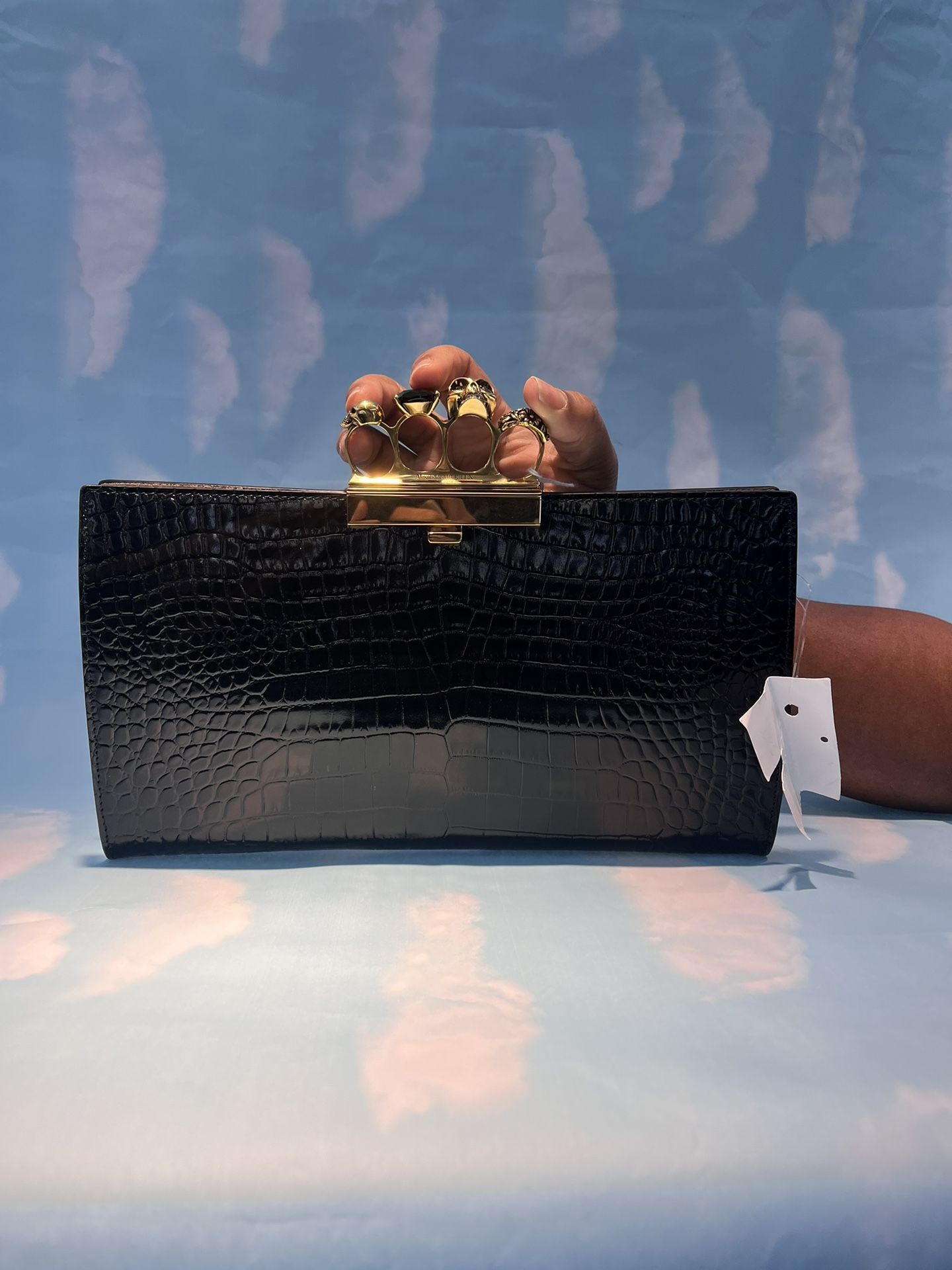 Alexander Mcqueen purse