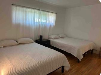 4 queen size nector mattress