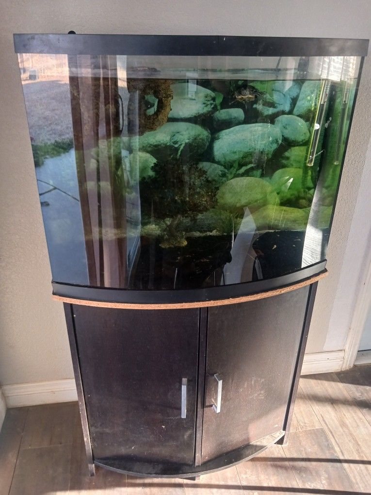 Aquarium 