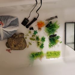 Fish Tank 