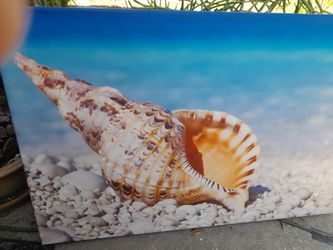 Tropical Canvas, Good Condition,  PU Only