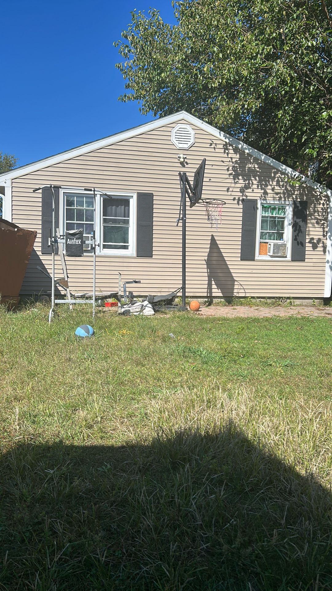 Free Basketball Ball Hoop, Free Pull Up Bar Dip Station Free Weight Bench And Olympic Bar And 300 Pounds Of Weights