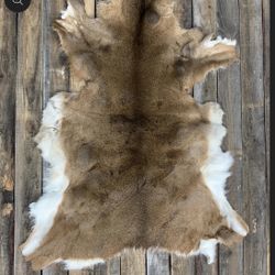 is a natural white-tailed deer hide or pelt. 