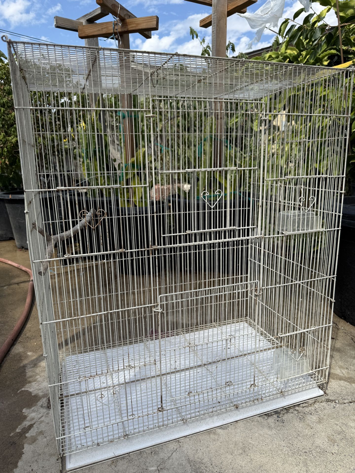 Bird Cage 