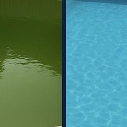 Pool Services 