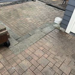 A LOT of cool paver stones. Please take all.