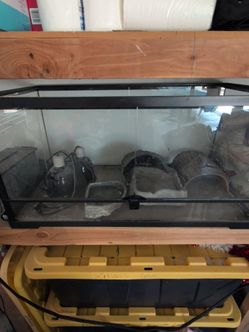 Glass Reptile Terrarium with Accessories
