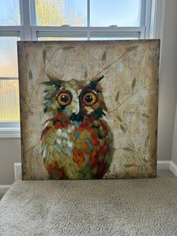 Vibrant Owl Canvas painting 40X40