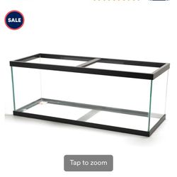 55 Gallon Fish Tank