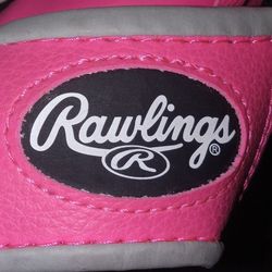 Rawlings Baseball Mitt