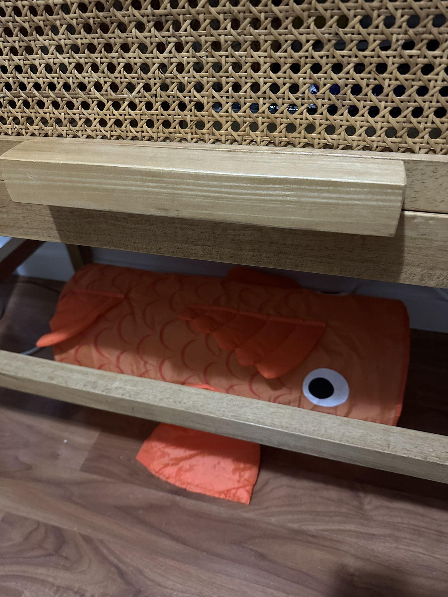 Quirky Kitty Goldfish Cat Tunnel
