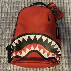 Spray ground backpack