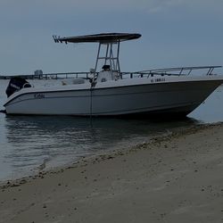 Cobia 