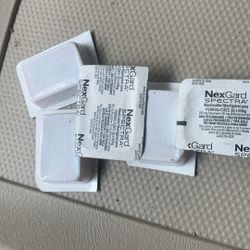 Flea Treatment 