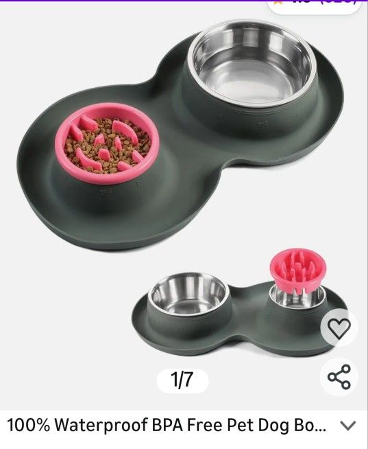 Dog Bowl