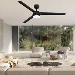 Ceiling Fan - 60” Ceiling Fan with Light and Remote for Indoor / Outdoor