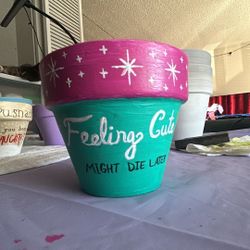 Hand painted pots 