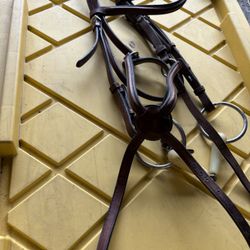 Bridle