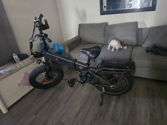 E-v bike