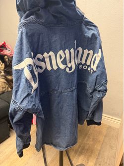 Disneyland spirit jersey