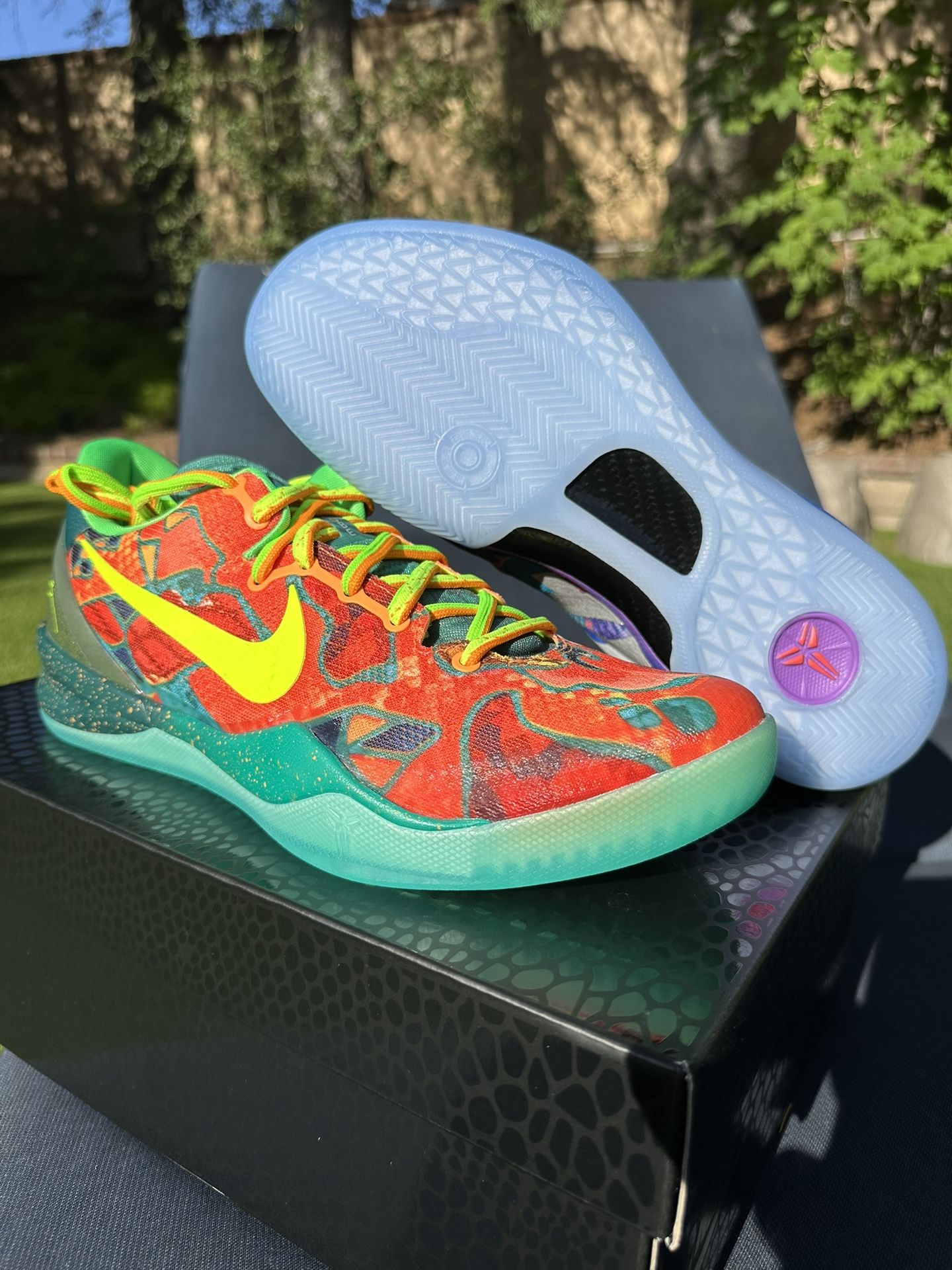 Nike Kobe 8 Protro What The