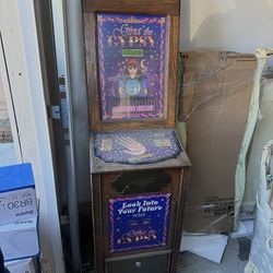 Gina the gypsy palm reader