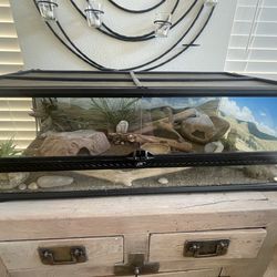 Reptile Terrarium Front Opening