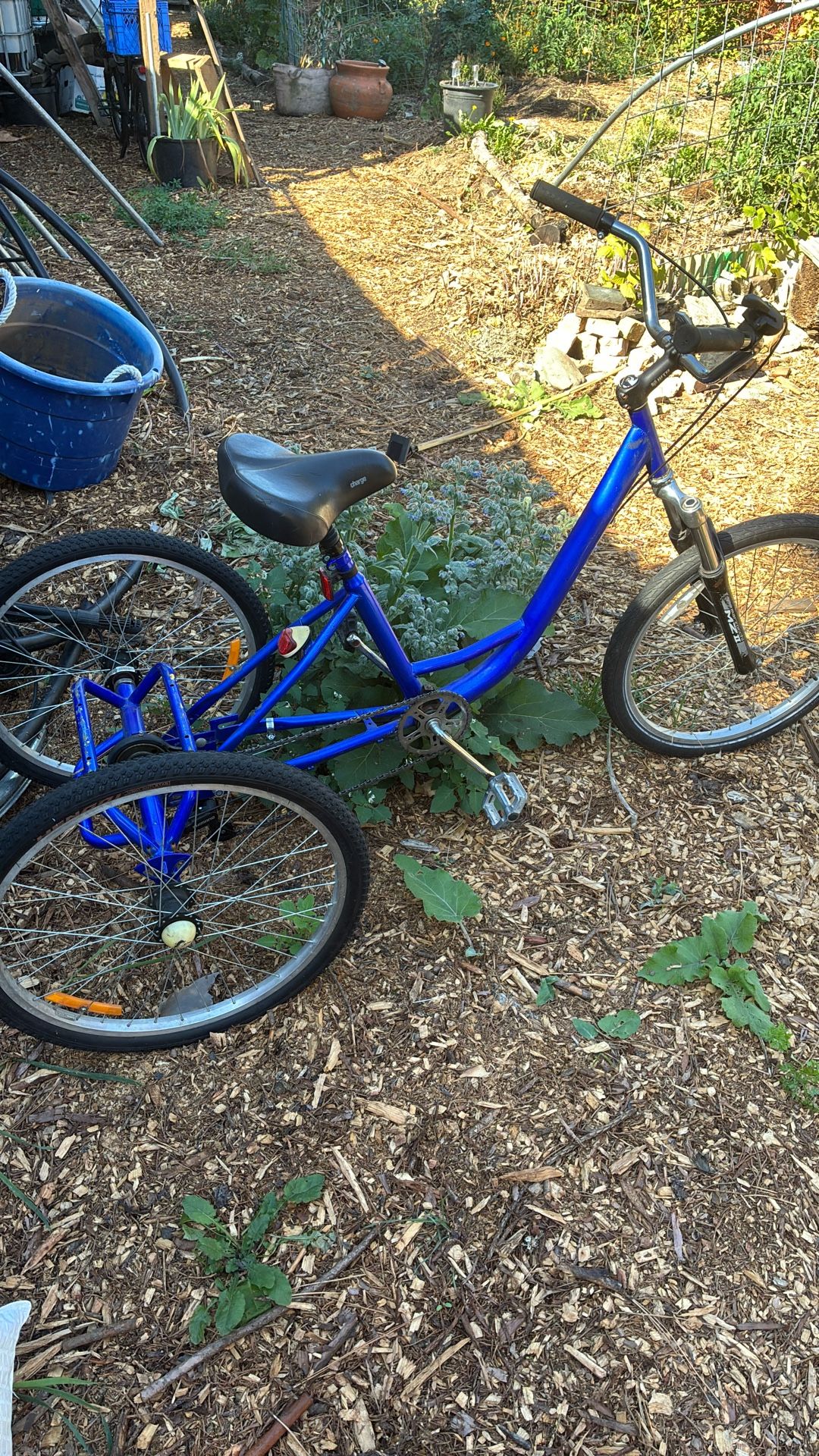 Blue three wheeled bicycle seven speed