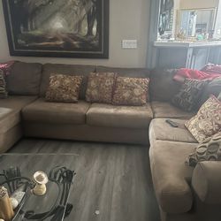 Living Room Couches Brown Color