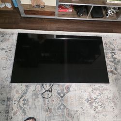 Panasonic 55" Flat Screen TV
