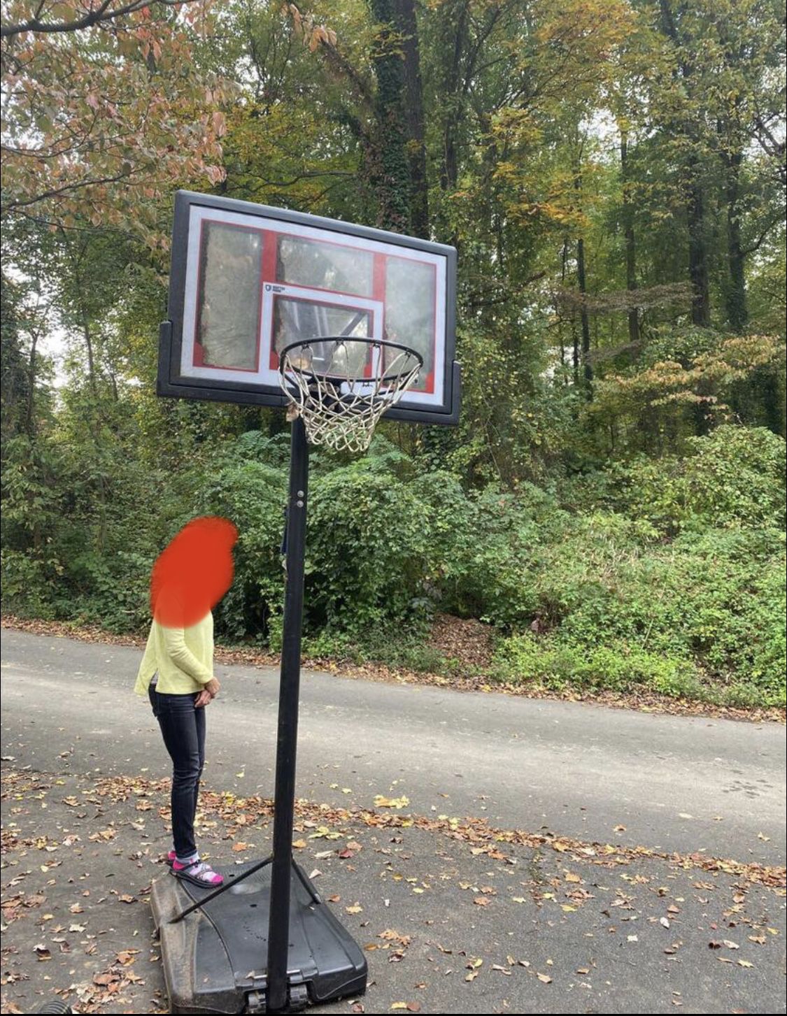 Basketball hoop in great condition