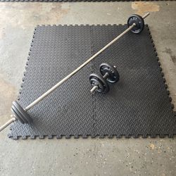 Adjustable Barbell & Dumbbell Set + 62 lbs Plates (York & Weider)