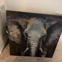 Elephant Print 30x30”