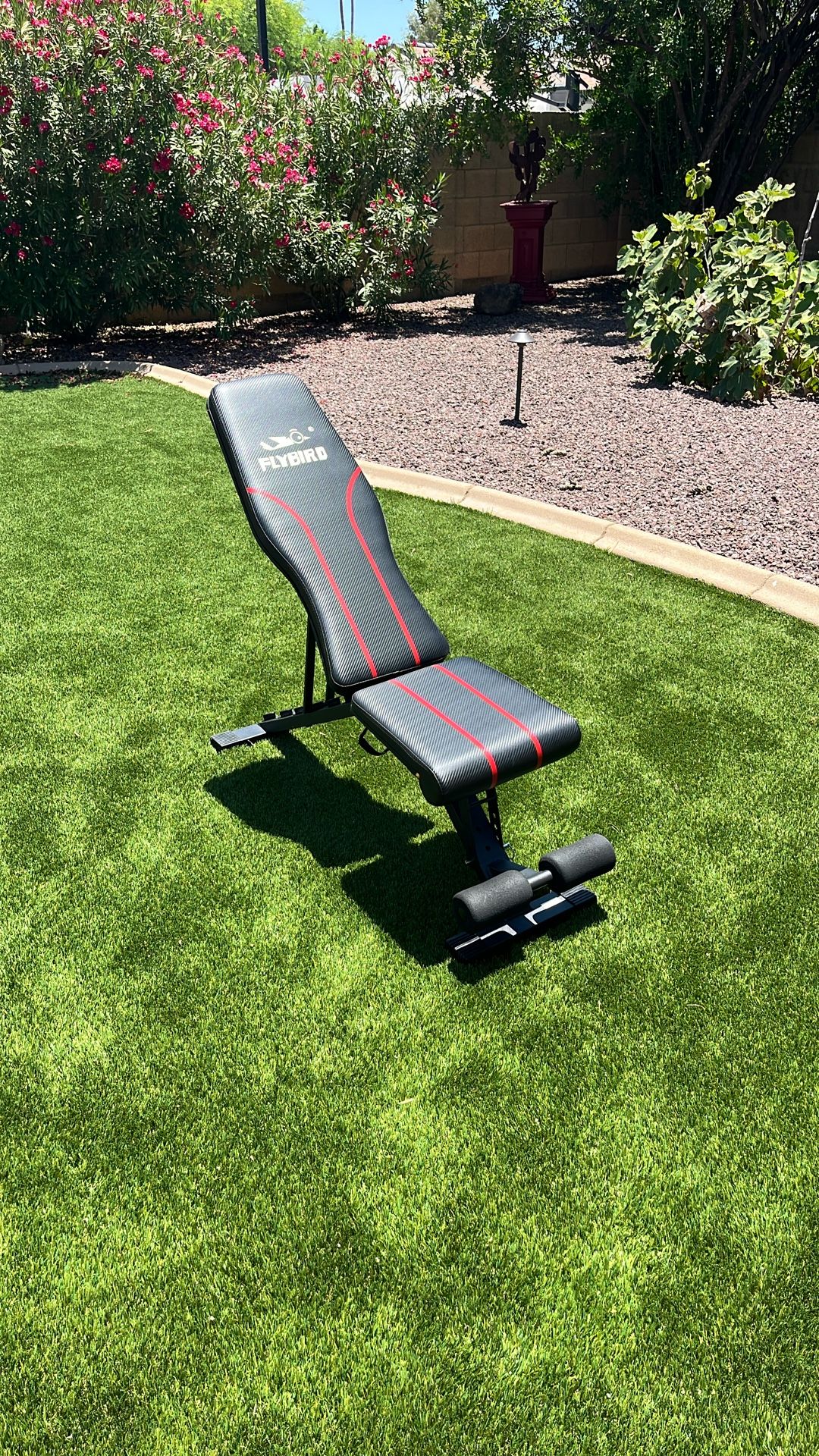 Red And Black Fly bird Dumbbell Bench