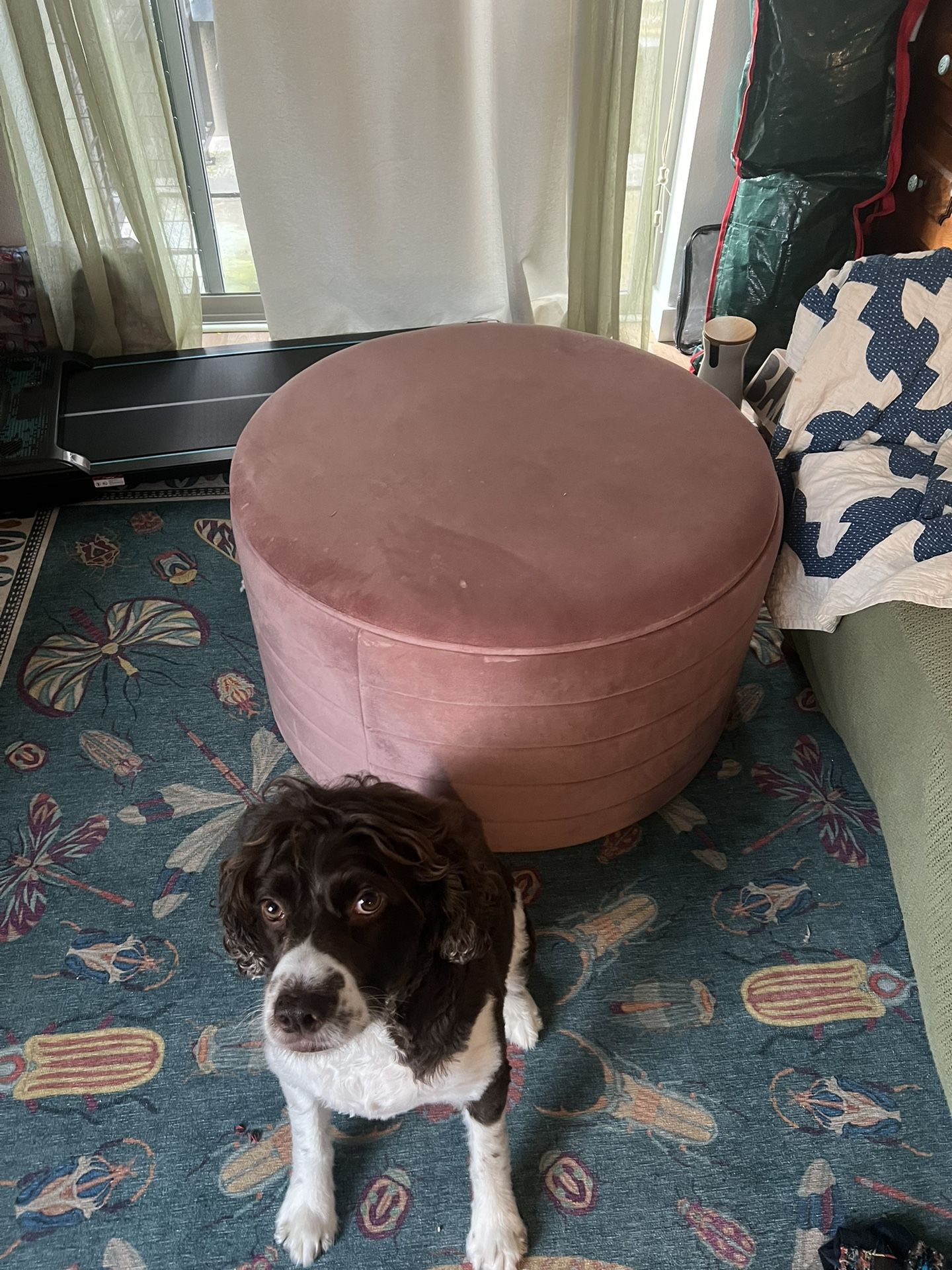 Light Pink Velvet Storage Ottoman