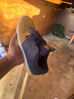 Nike sb 10.5